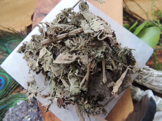 Patchouli Leaves, Wildcrafted