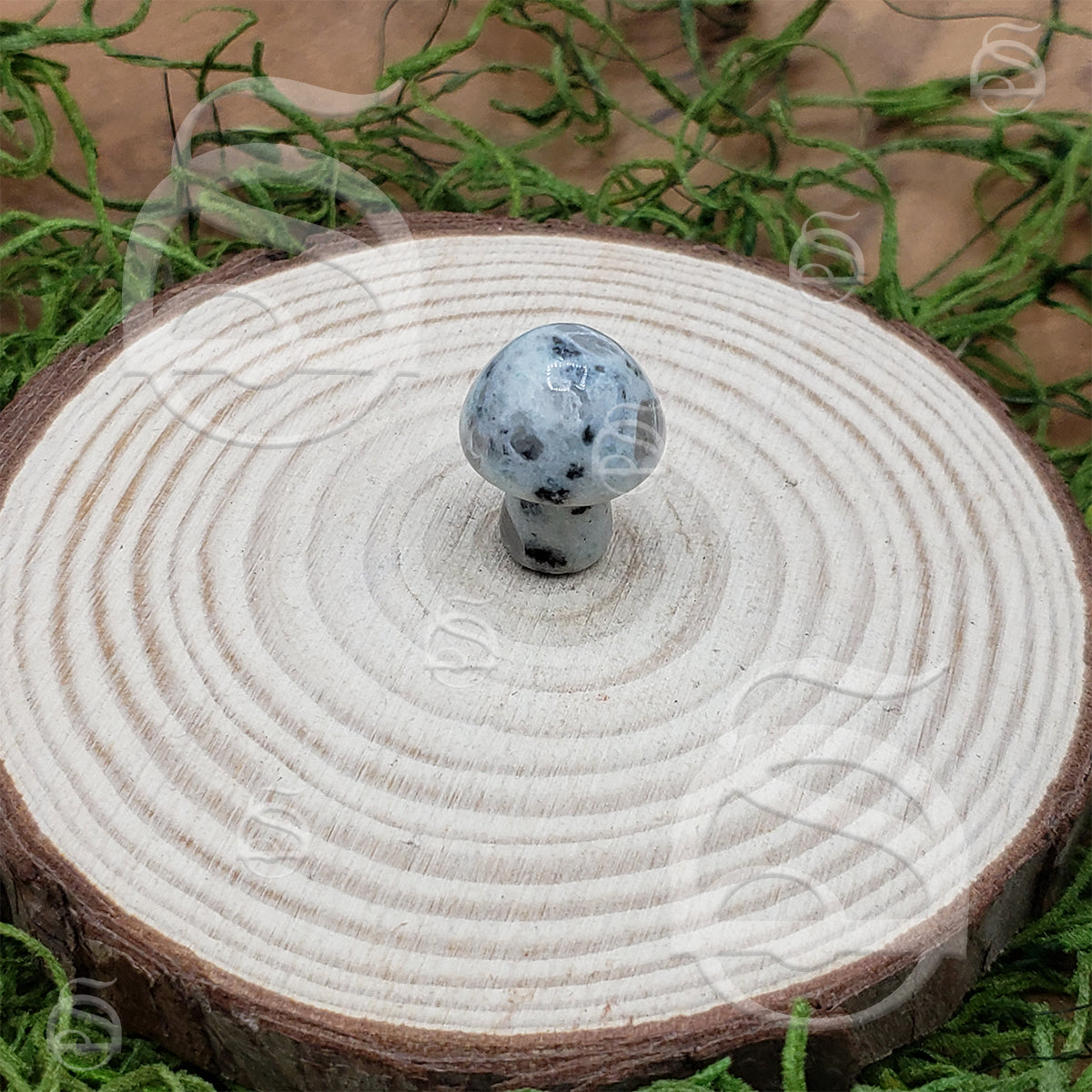 Stone Mushroom - Kiwi Jasper