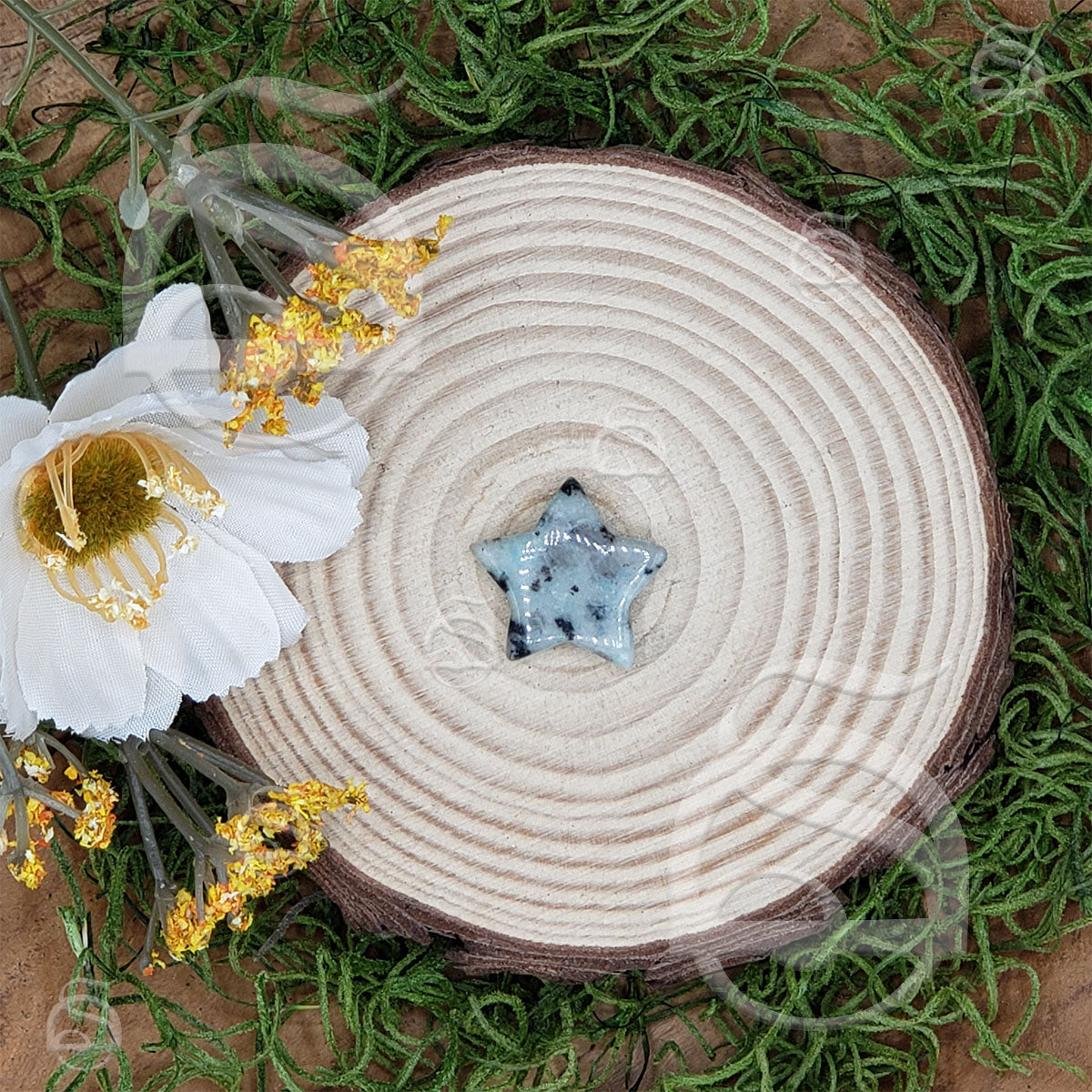 Polished Star Small - Kiwi Jasper