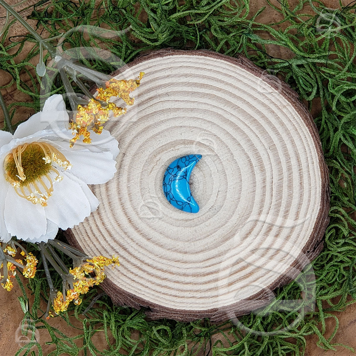 Polished Moon Small - Magnesite