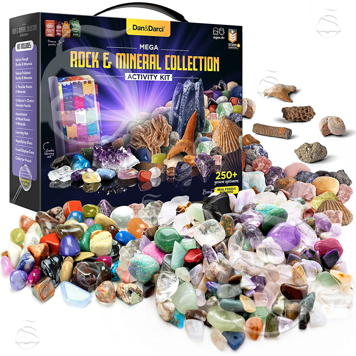 Mega Rock, Fossil & Mineral Activity Kit