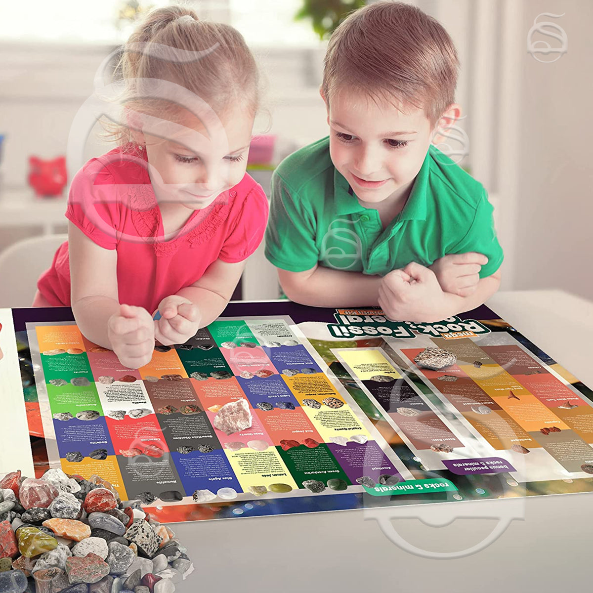 Mega Rock, Fossil & Mineral Activity Kit