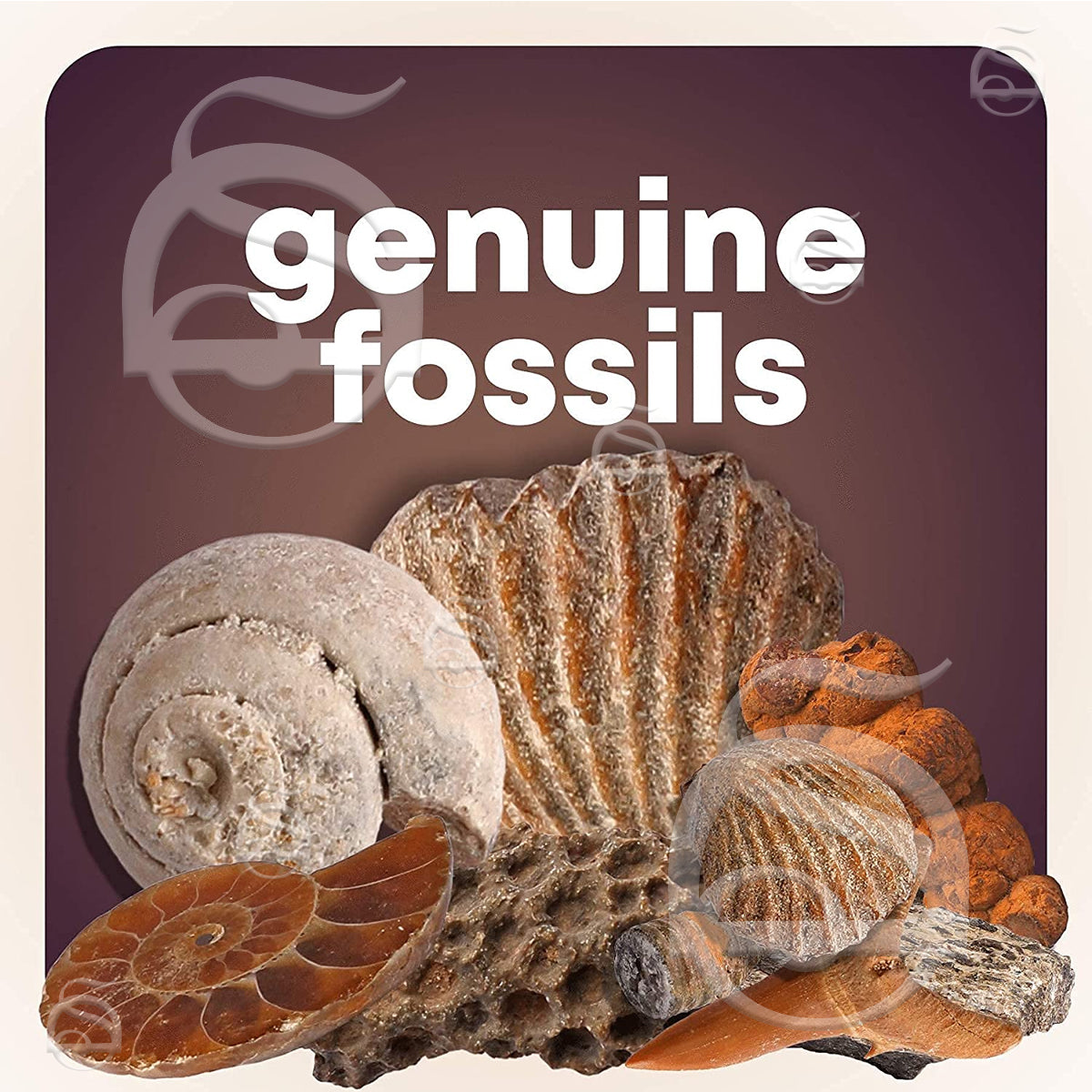 Mega Rock, Fossil & Mineral Activity Kit