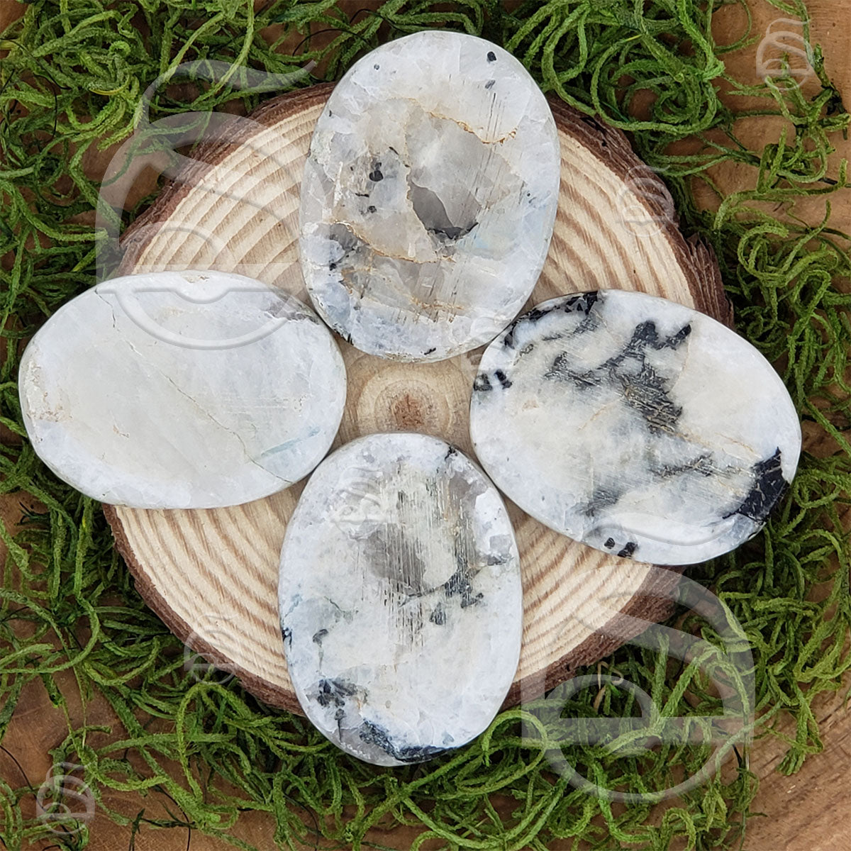 Worry Stone - White Rainbow Moonstone