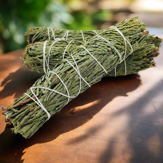 Cedar Bundle, Wildcrafted