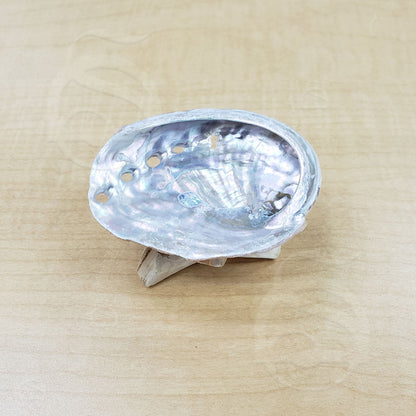 Abalone Shell - Small