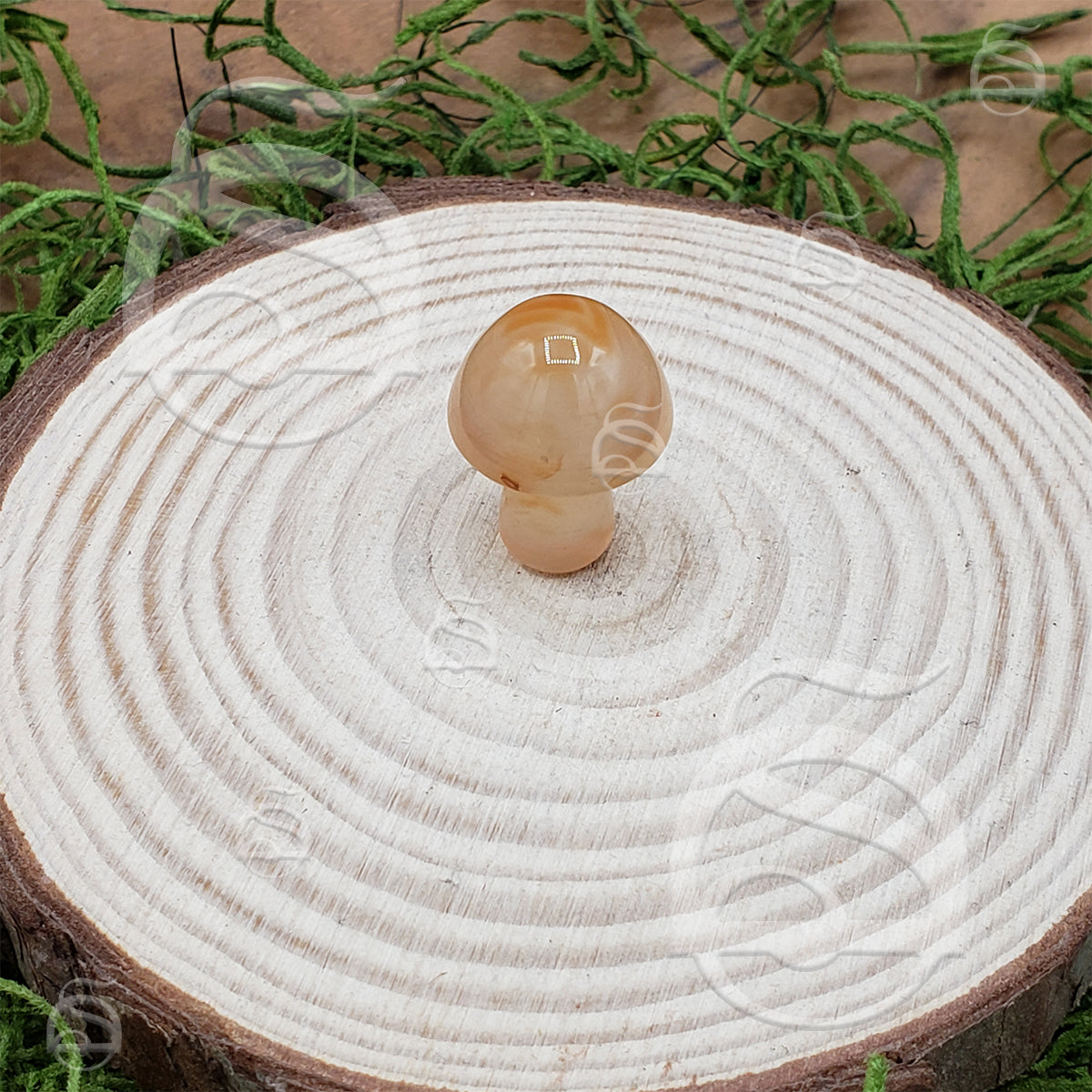 Stone Mushroom - Agate