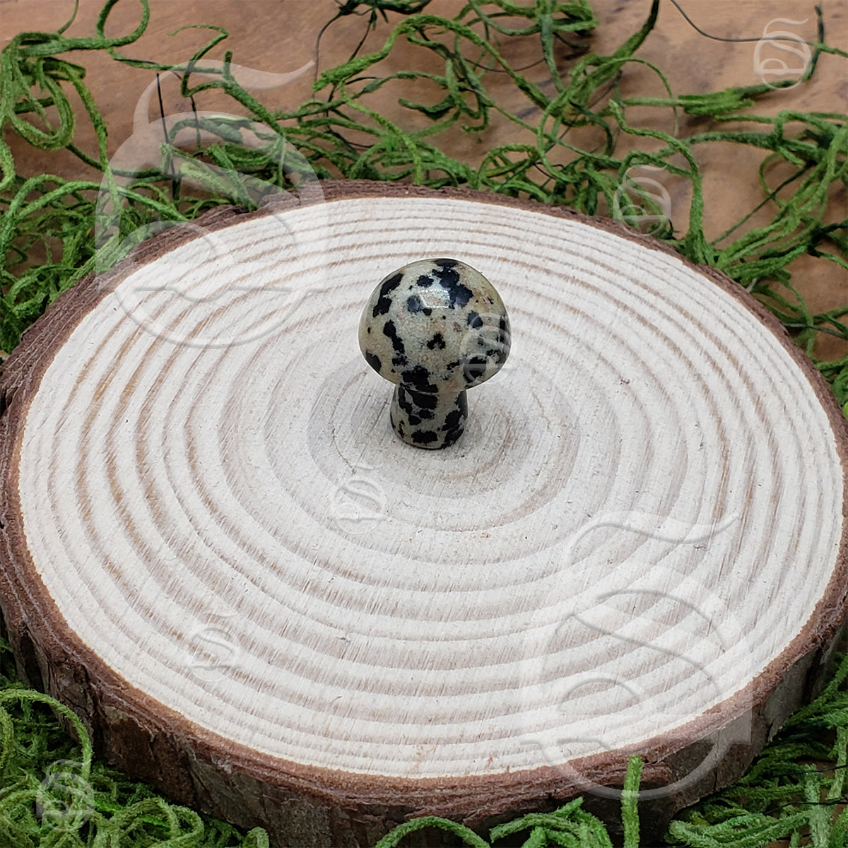 Stone Mushroom - Dalmatian Jasper