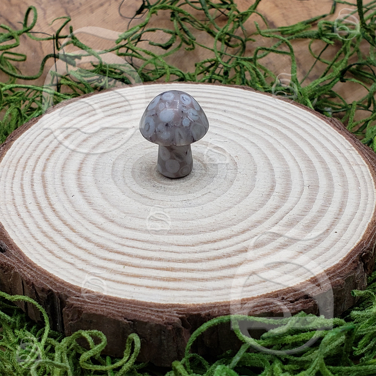 Stone Mushroom - Flower Agate
