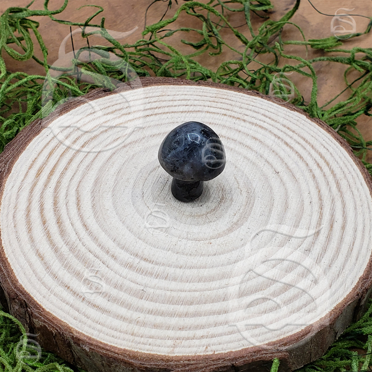 Stone Mushroom - Larvikite