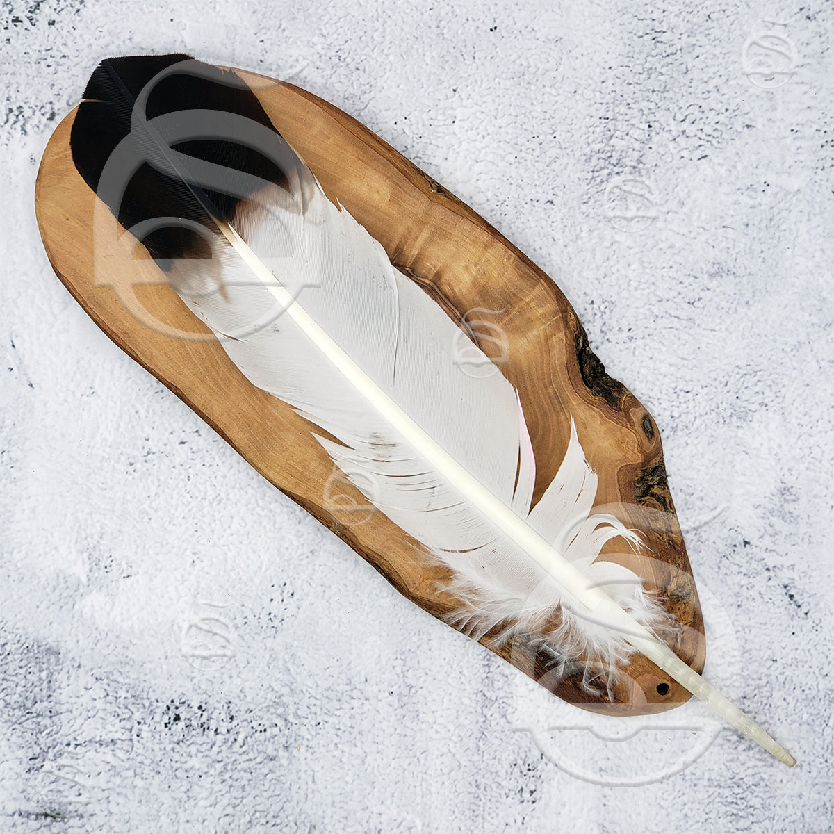 Brown Tip Eagle Feather
